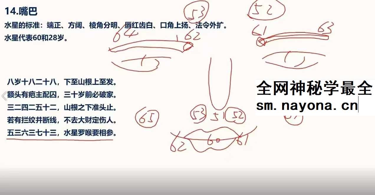 照明居士 识人术高级班28集