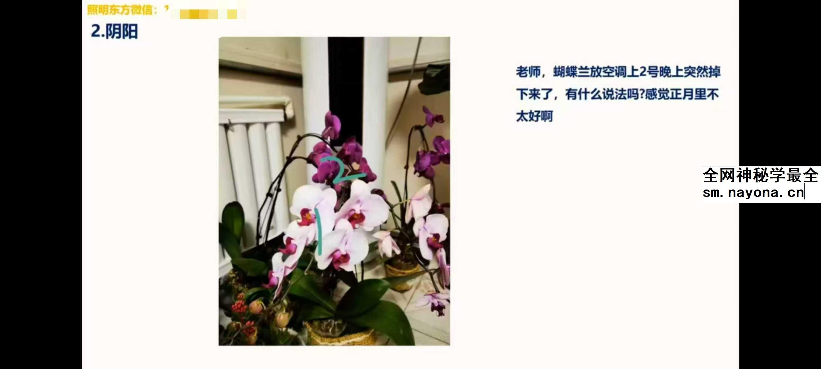 照明居士《外应学》初级班10集