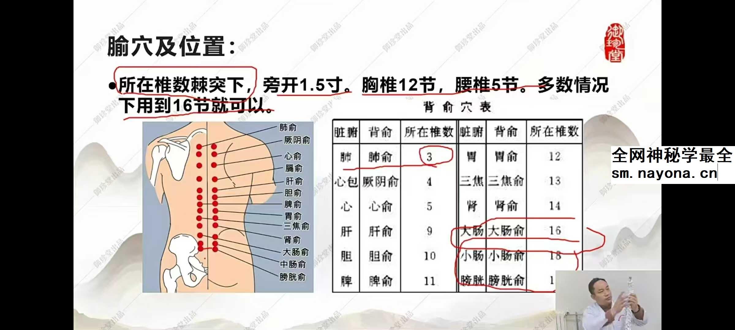 和融十二宫调病强身法九期27集
