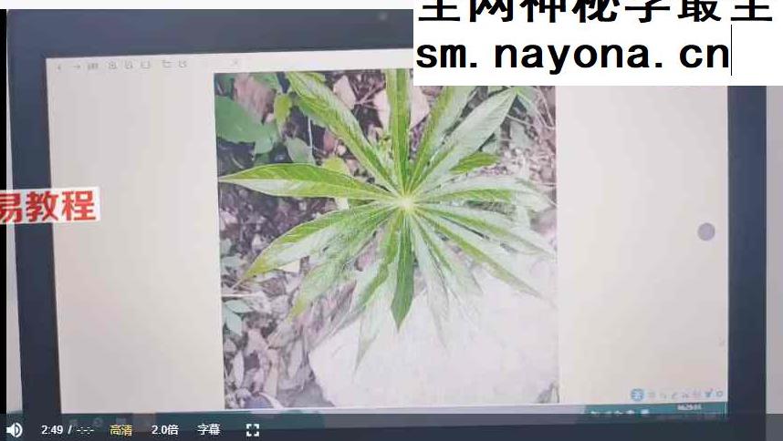 文元国学《微信头像专题讲解》视频57集
