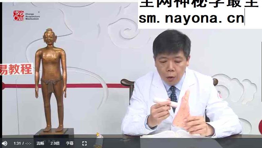 跟程凯学艾灸养生视频30集