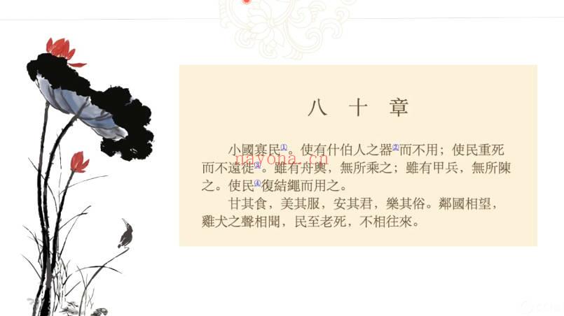 阿布81天通临《道德经》视频课 81集