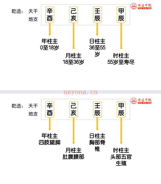 夏光明团队刘晨萱《八字破译人生吉凶灾祸秘法》讲义227页.PDF电子版