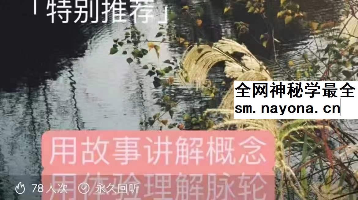 七脉轮 深度讲解直觉超强的骆驼10集