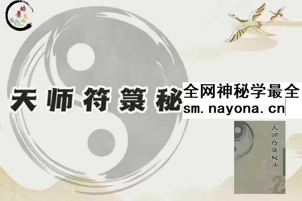 易晟 胡新江《天师符箓秘法课程》56集视频