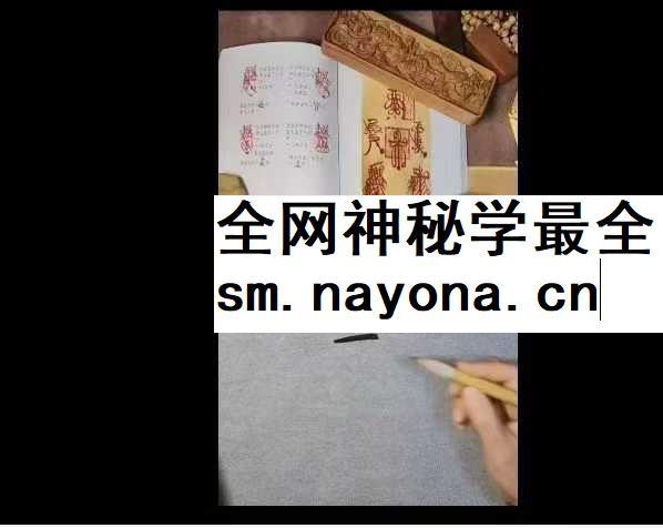 易晟 胡新江《天师符箓秘法课程》56集视频