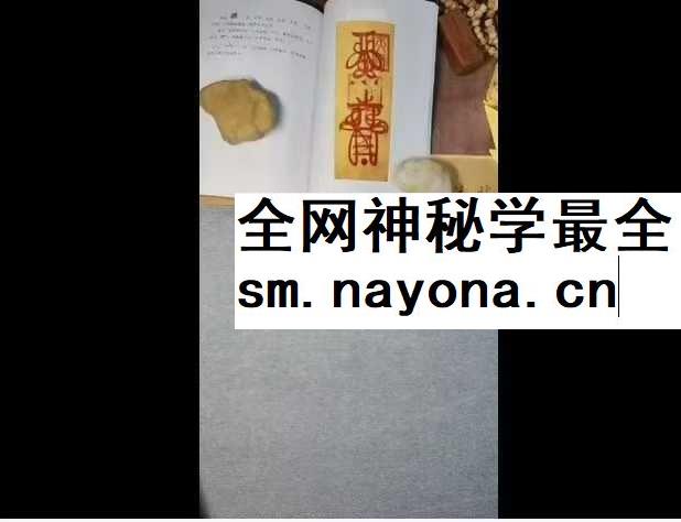 易晟 胡新江《天师符箓秘法课程》56集视频