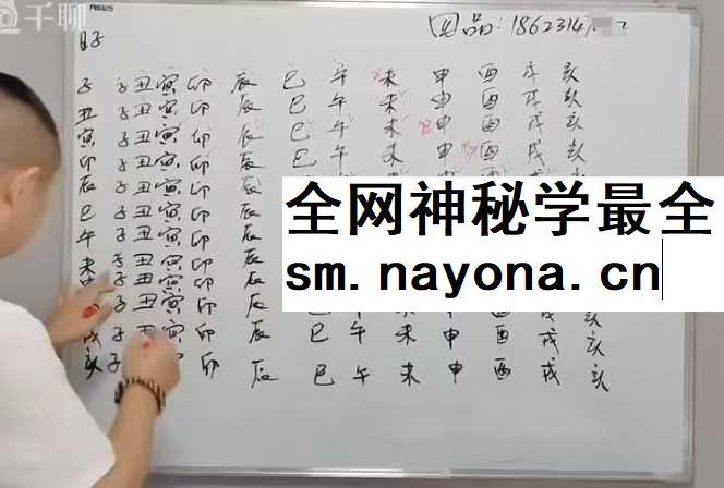 四品四柱八字系统教程62集