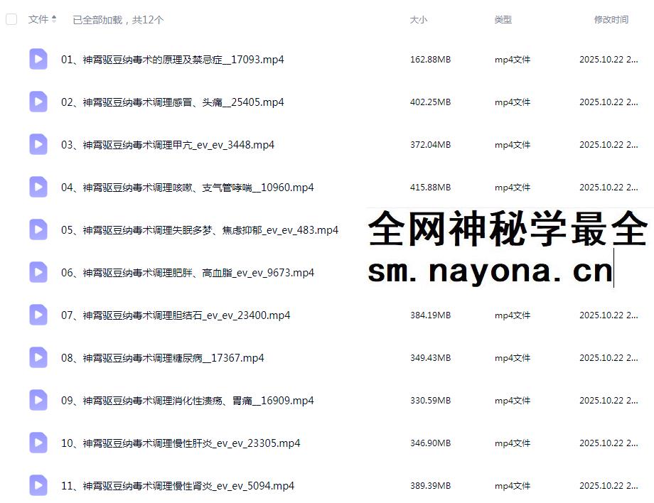 张东方张道长 神霄驱豆纳毒术12集
