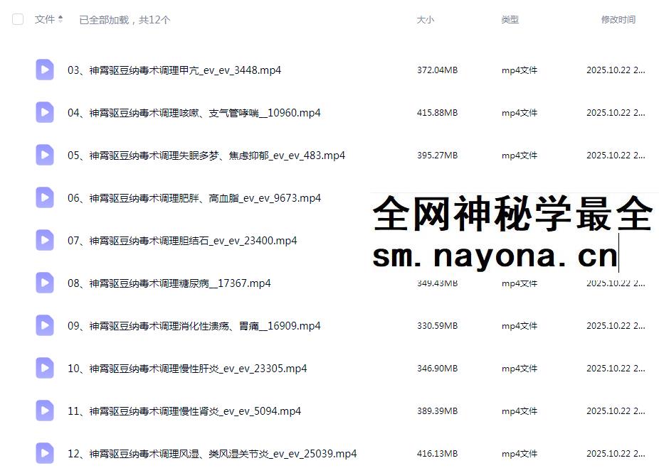 张东方张道长 神霄驱豆纳毒术12集