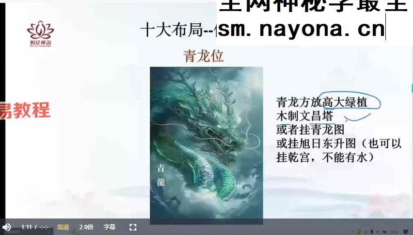 辰南九维控运视频13集
