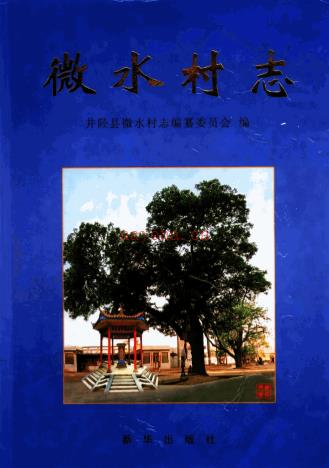 微水村志