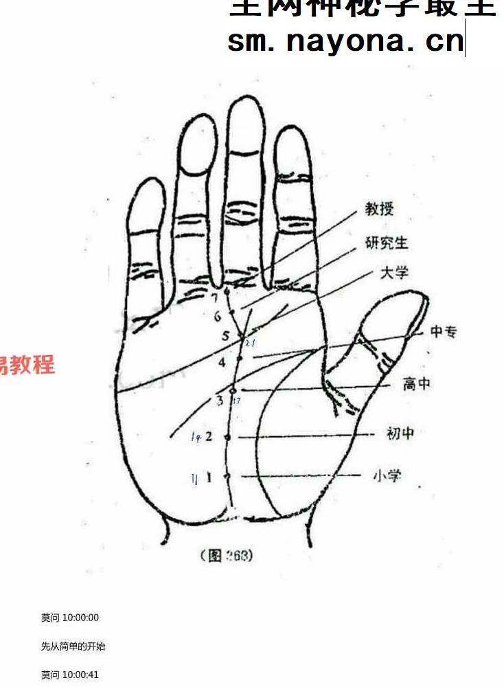 莫问手相培训.pdf 134页