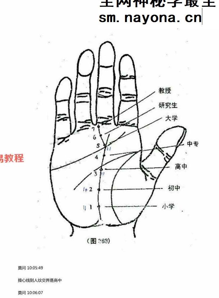 莫问手相培训.pdf 134页
