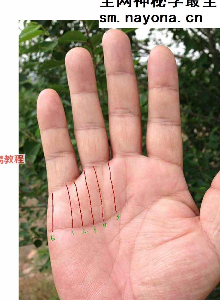 莫问手相培训.pdf 134页