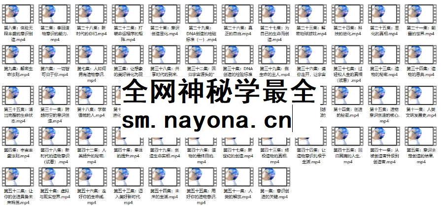 2512171 造物意识2999元【56集】显化课程插图