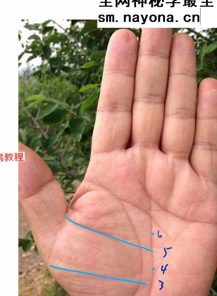 莫问手相培训.pdf 134页