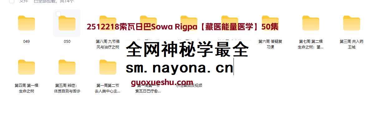 2512218索瓦日巴Sowa Rigpa【藏医能量医学】50集插图 2512218索瓦日巴Sowa Rigpa【藏医能量医学】50集插图