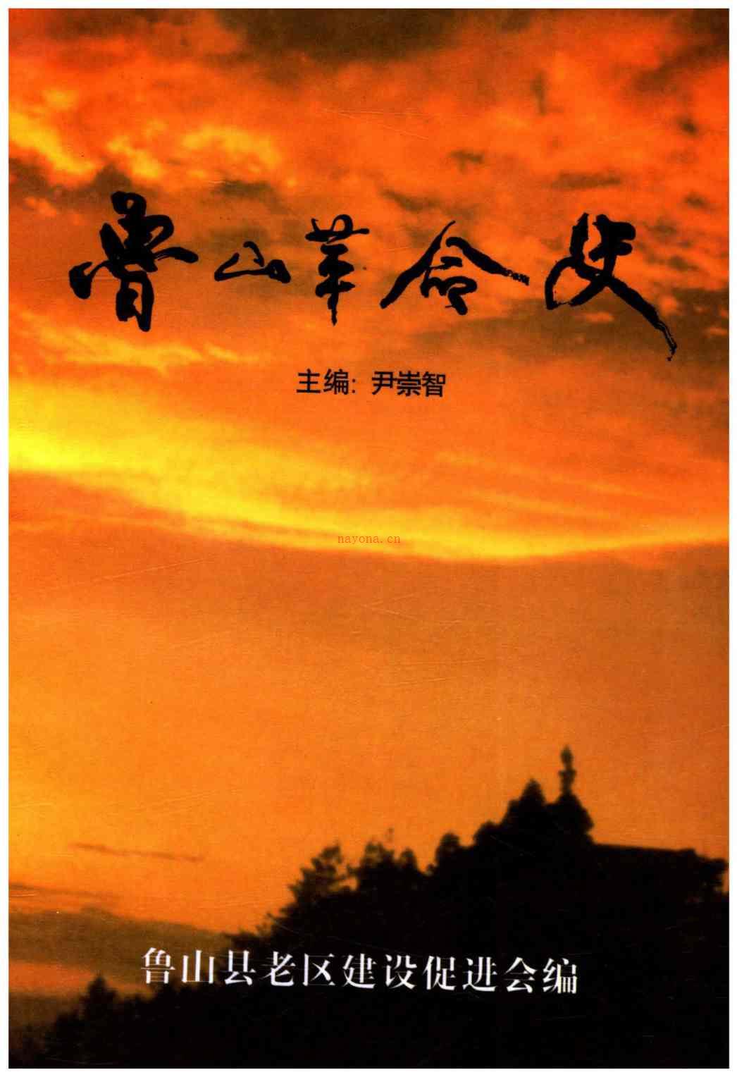 鲁山革命史_县志电子版pdf下载 鲁山革命史_县志电子版pdf下载