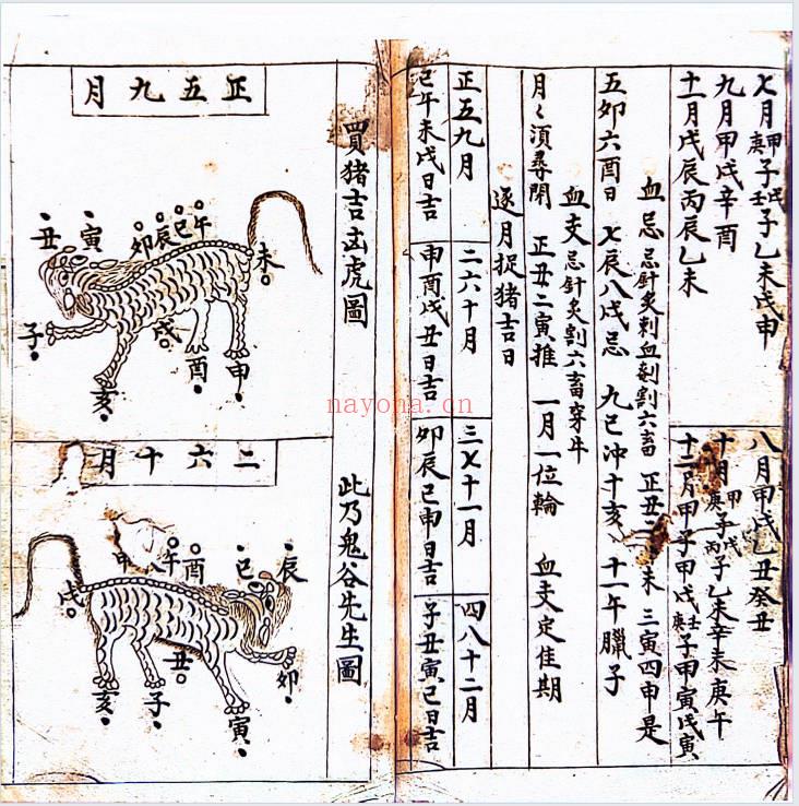 古籍《杨公地理寻龙点穴》140页.PDF电子版