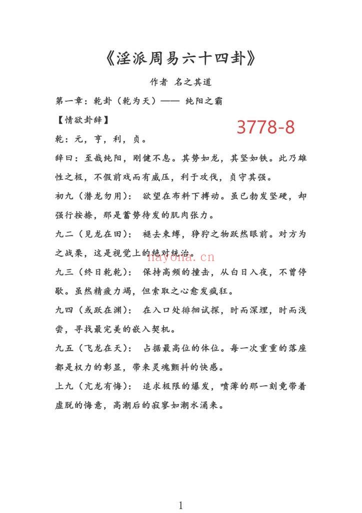 《淫派周易六十四卦》8