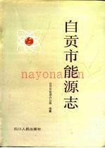 自贡市能源志