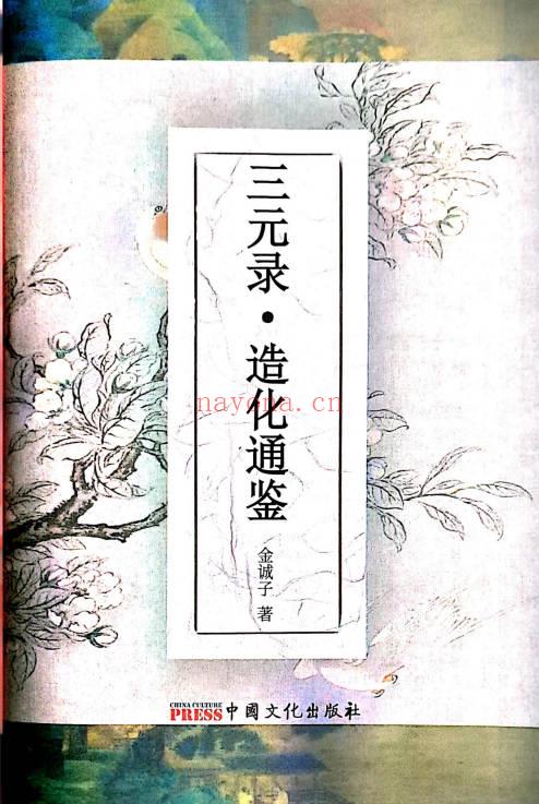 金诚子《三元录·造化通鉴》306页 电子书