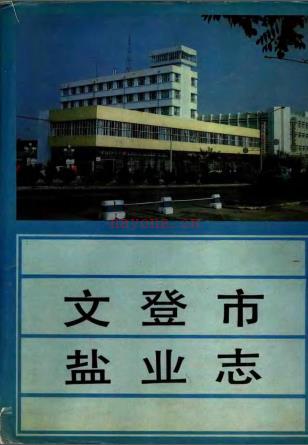 文登市盐业志 1991版
