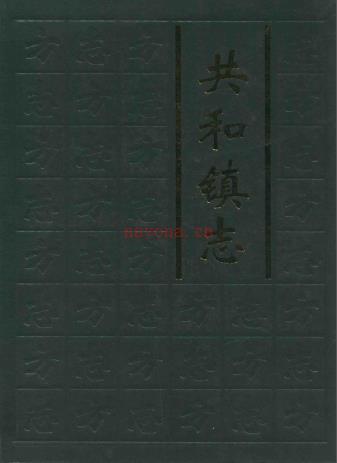 鹤山市共和镇志 2008版