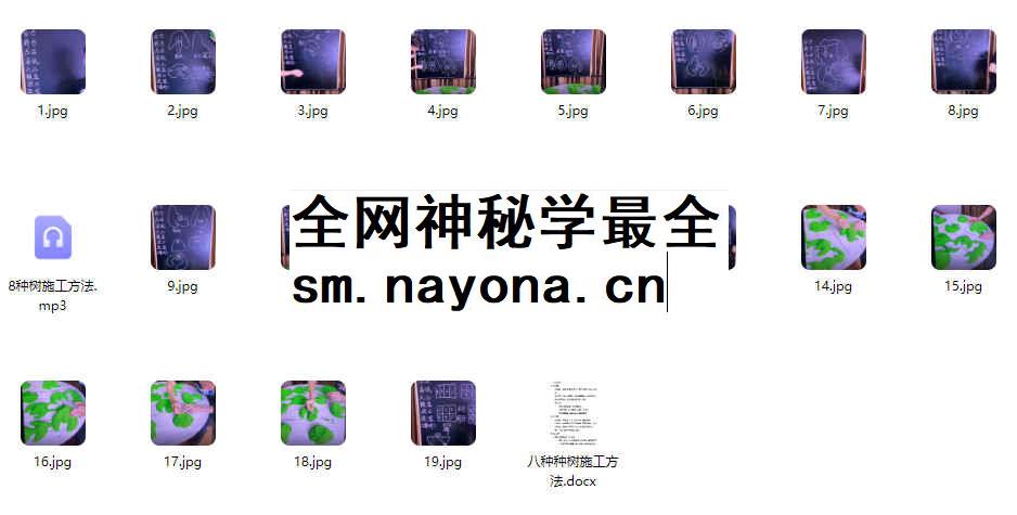 2512269 许联斌8种树(核心葬法工力)录音集+课件图片插图 2512269 许联斌8种树(核心葬法工力)录音集+课件图片插图