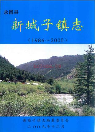 新城子镇志(永昌县) 1986-2005 2010版