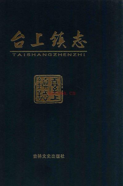 集安市台上镇志 2008