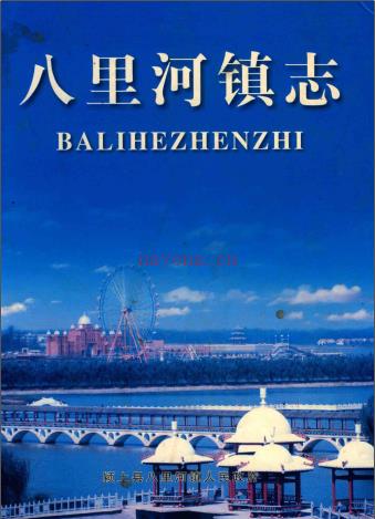 颍上县八里河镇志 2003版