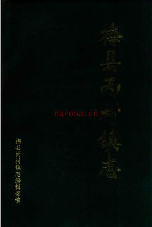 梅县丙村镇志 1993版