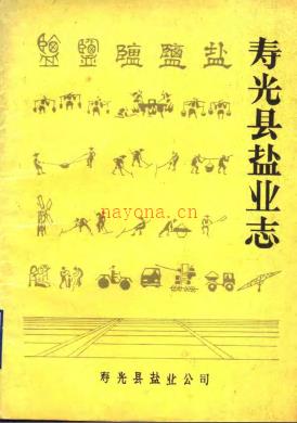 寿光县盐业志