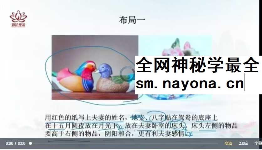 辰南九维控运
