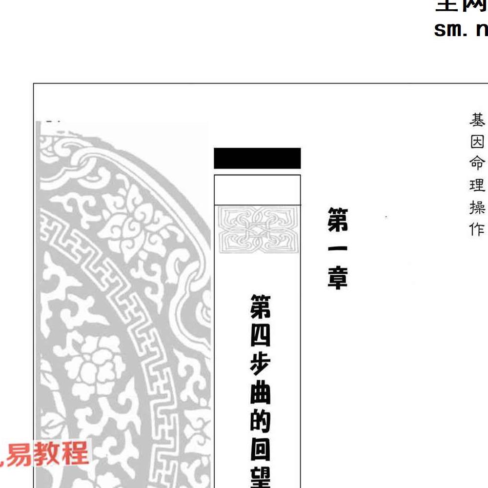 易天生易氏格局精华.pdf 399页