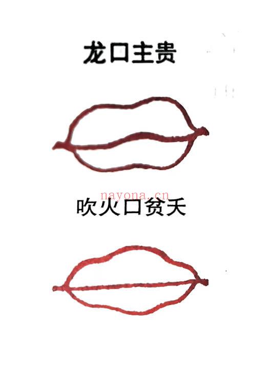 青山书院 鹤鹤《道家识人术课程》视频27集+课件
