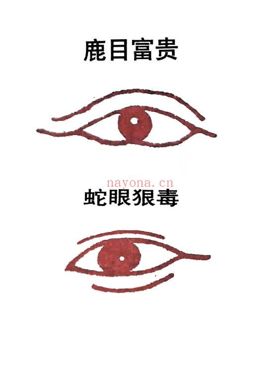 青山书院 鹤鹤《道家识人术课程》视频27集+课件