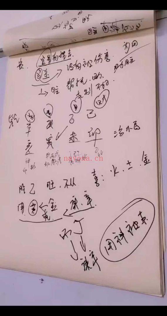 三奇老师《四柱八字》教学视频19集