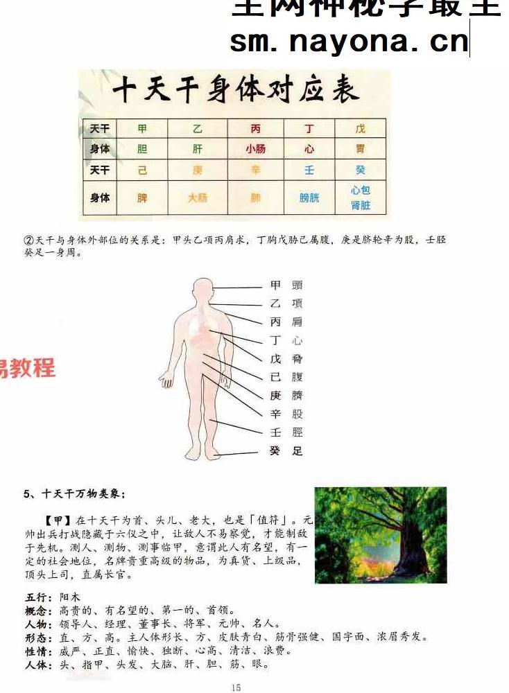 子辰《奇门遁甲新编》预测化解二合一（699元）222页 打印版.pdf
