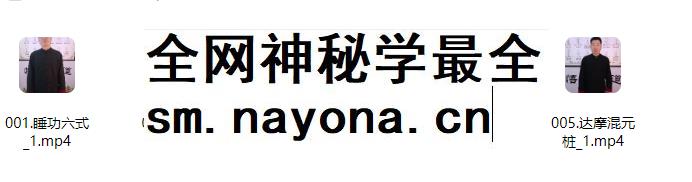 2512274 五大禅定实修法门 5集视频Y插图