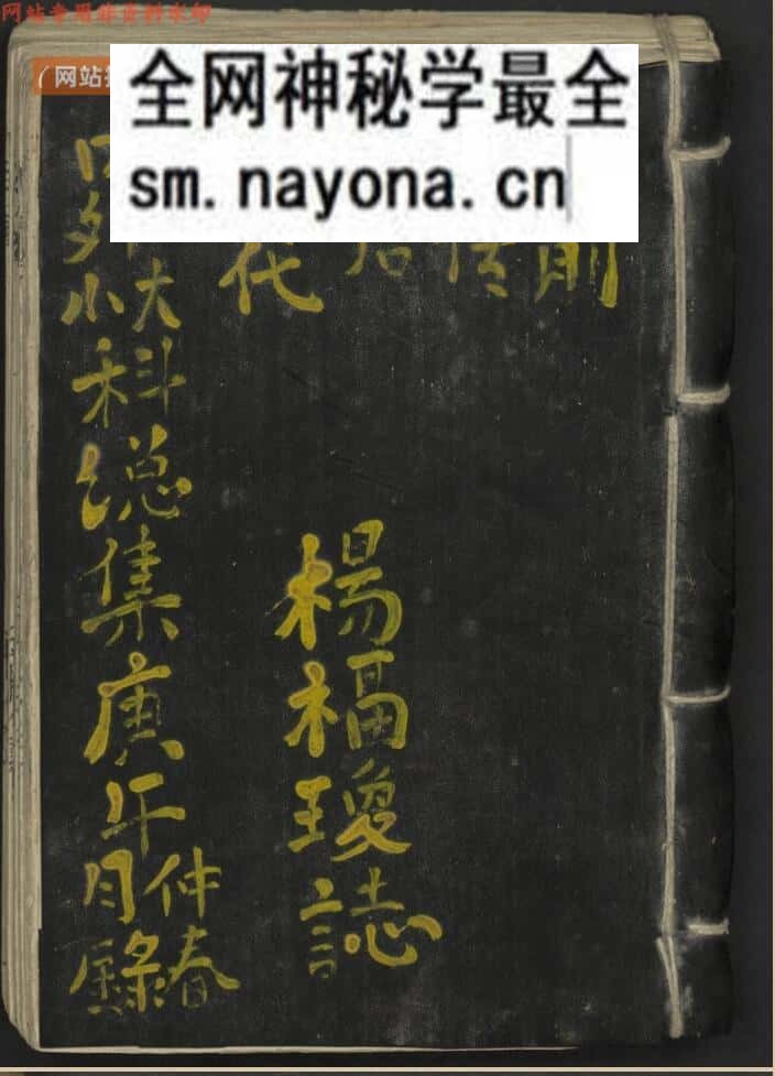 杨福琼 内外大小科总集