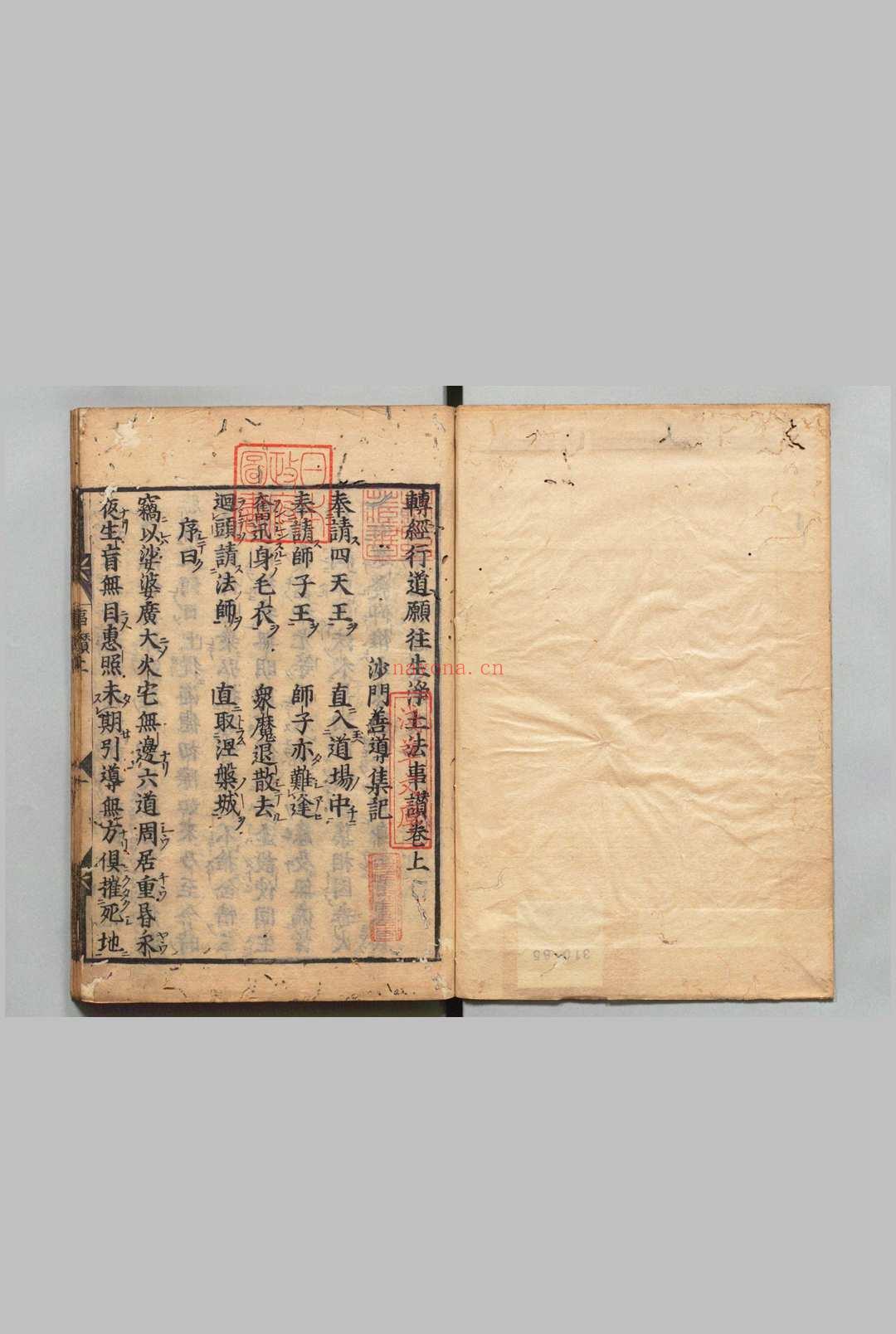 转经行道愿往生净土法事赞 释善导(唐)刊本 ,江户