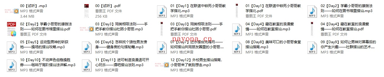 Chic原醉《高阶校园男神收割机修炼心法》