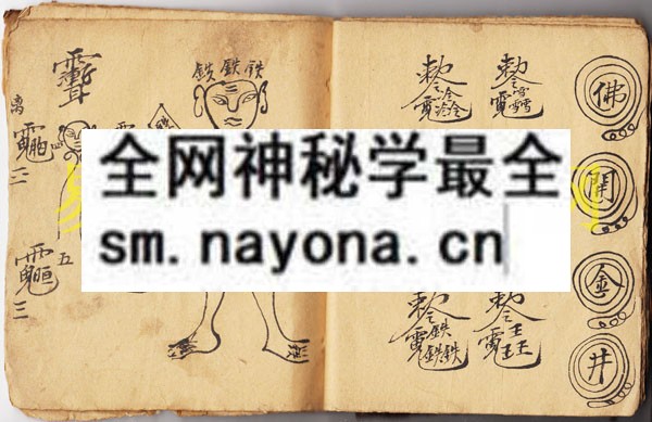 1742975313106825.jpg 符显药灵 (原书)