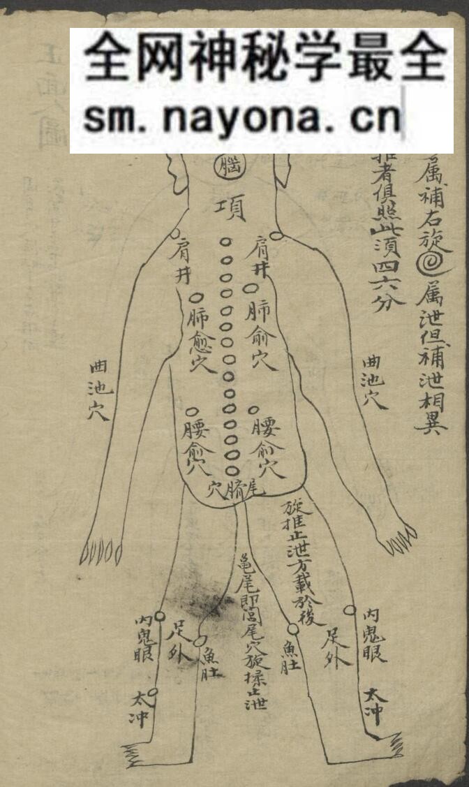 《小儿推拿》