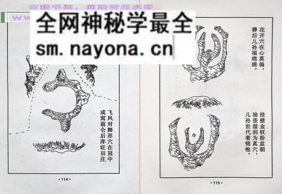 《 风水点穴百图》百度网盘下载