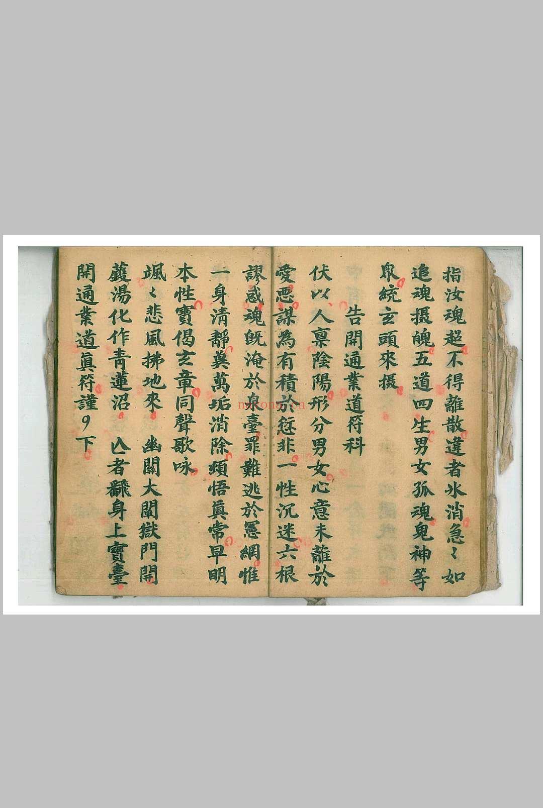 祭炼大玄科