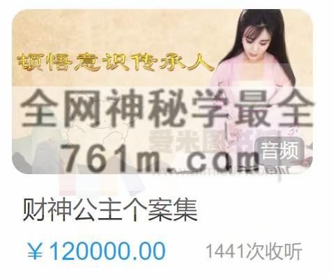 财神公主个案集